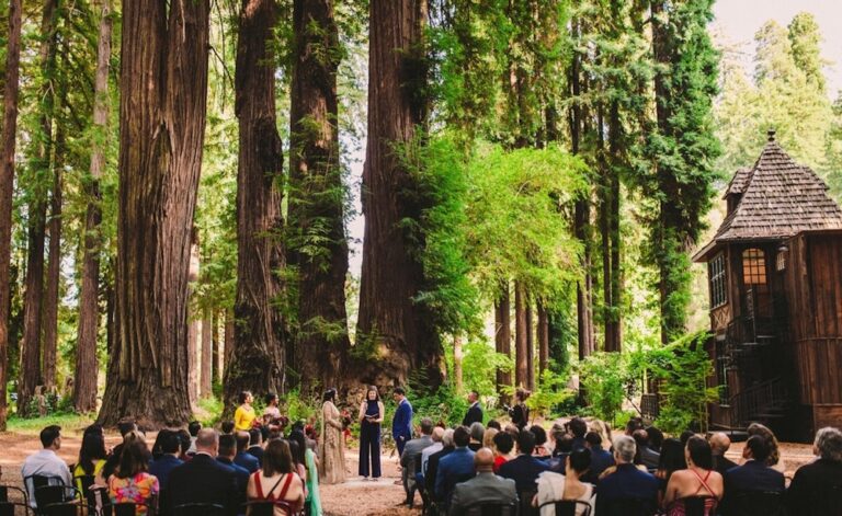 WD20210105 TheBrambles 03 768x471