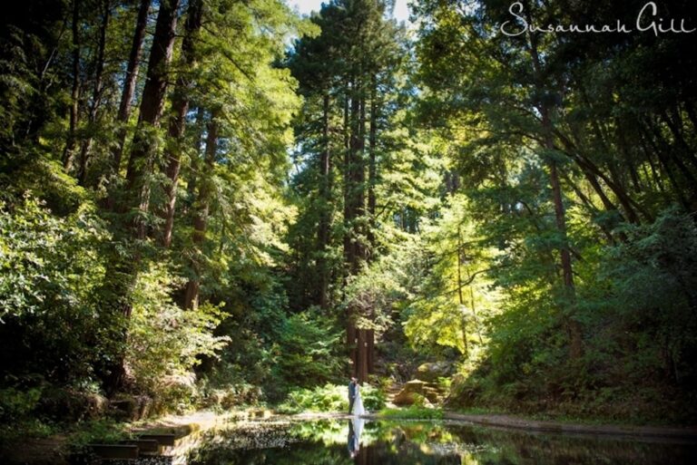 WD20211124RalstonWhiteRetreat02 768x513