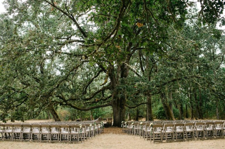 WD20211206MountPisgahArboretum09 768x511