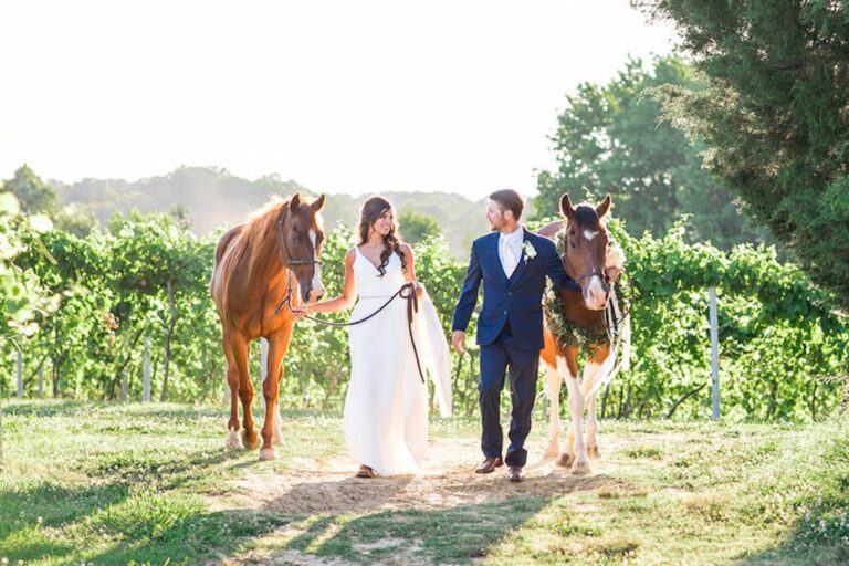 WD20211221CrownWinery03 768x512