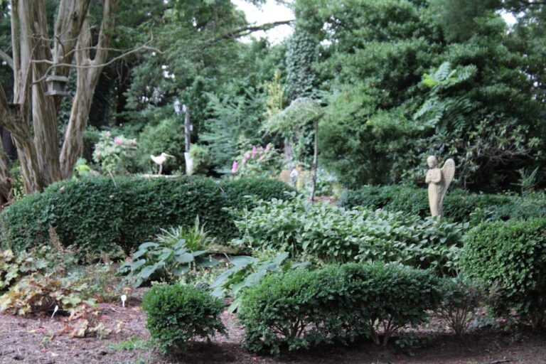 WD20220310MaplewoodGardens04 768x512