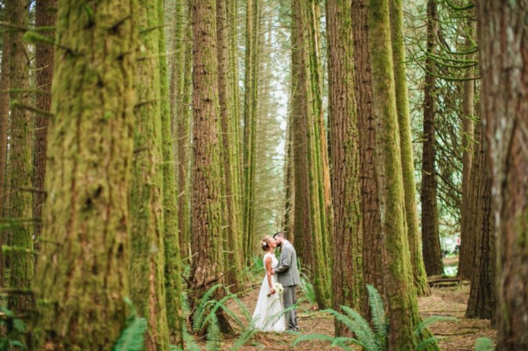 WD20220323DeepWoods14 768x511