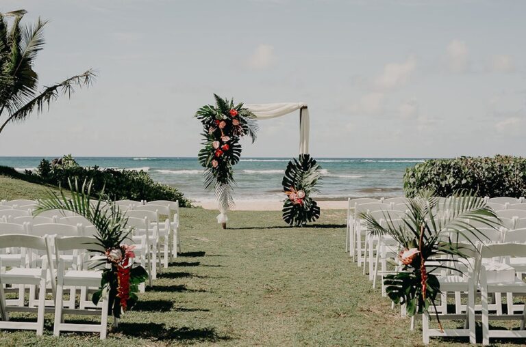 WD20220523LouluPalmFarm29 768x508