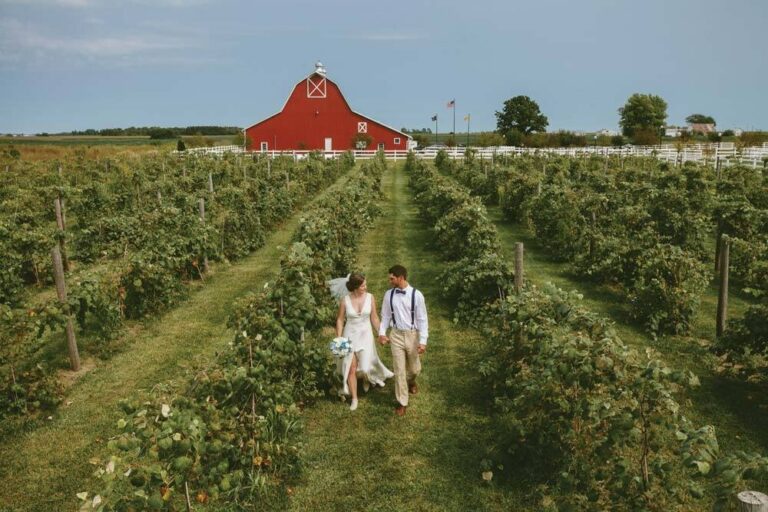 WD20220524ParkerRunVineyards04 768x512