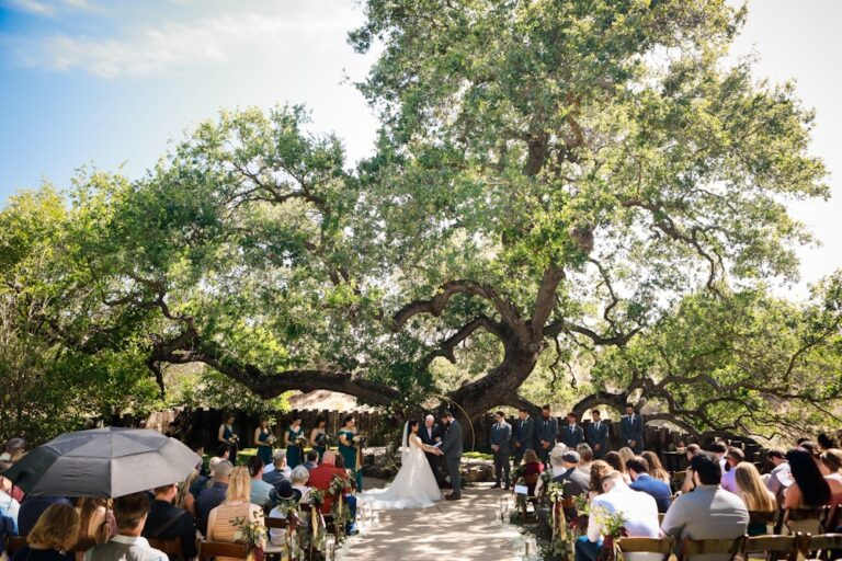 WD20220810HartleyFarms12 768x512