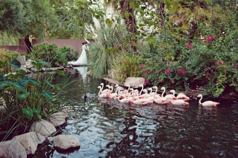 WD20220810ReidParkZoo02 768x509