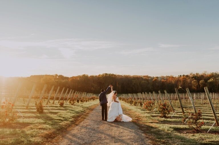 WD20220816ChildressVineyards13 768x509