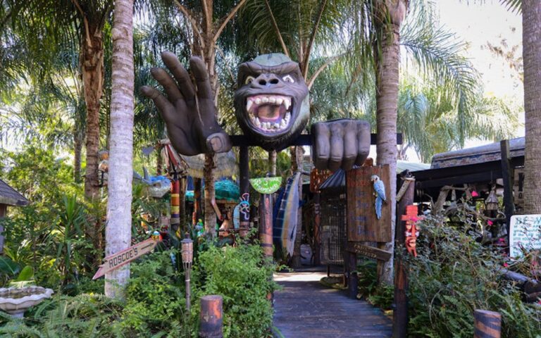 WD20220929FantasyFramsEvents06 768x480