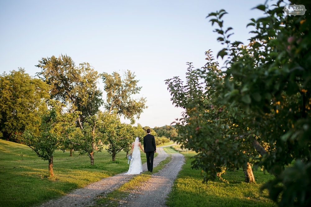 Connemara House Farm