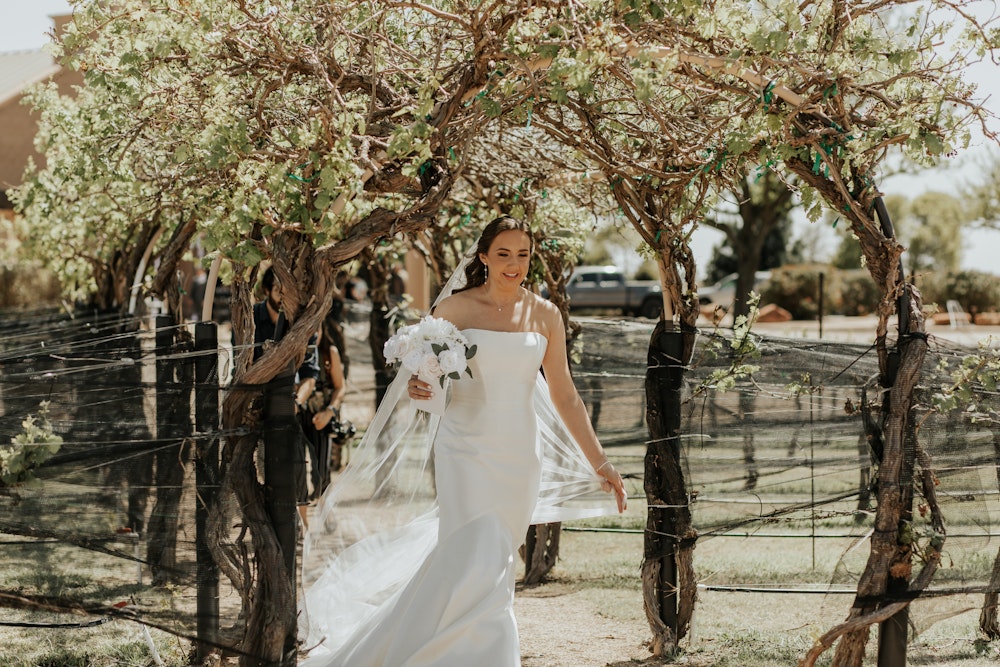 English Newsom Cellars