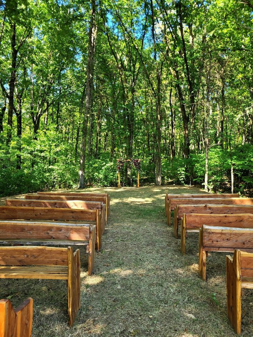 Evergreen Gunter Hollow