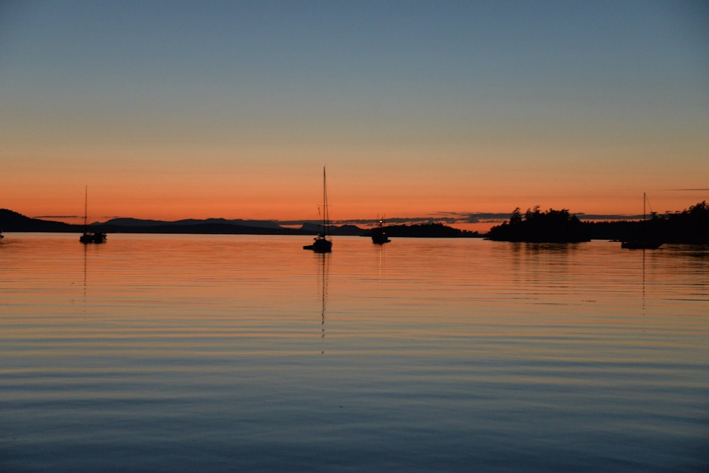 Friday Harbor Cruises
