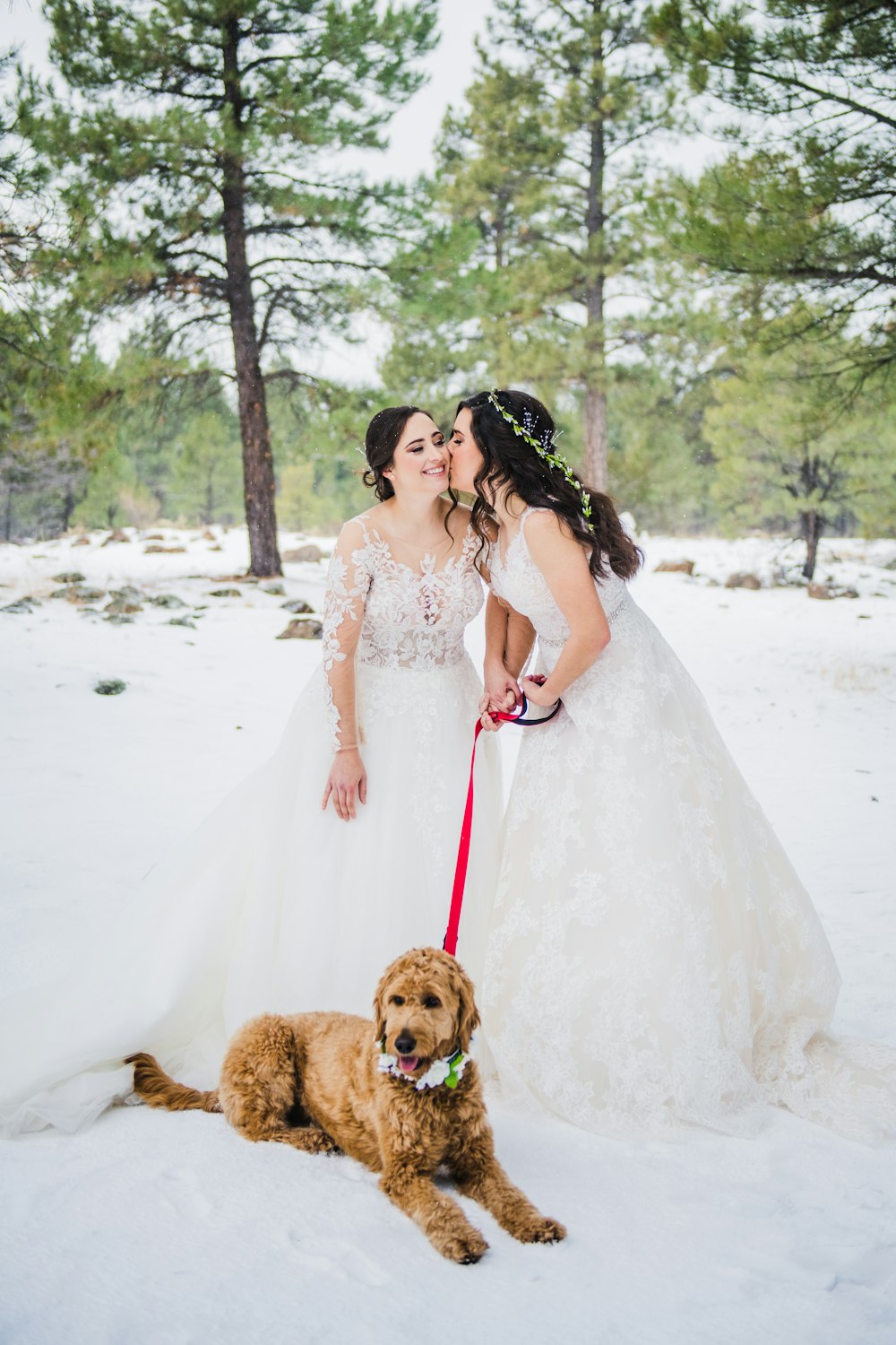 Little America Hotel