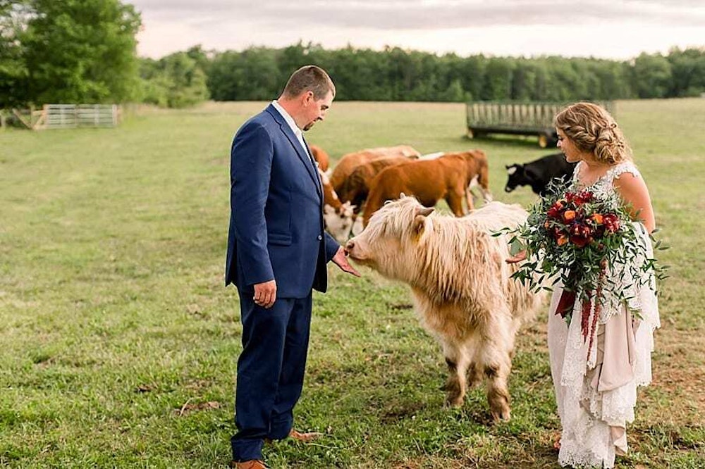 Longacre Farm Weddings