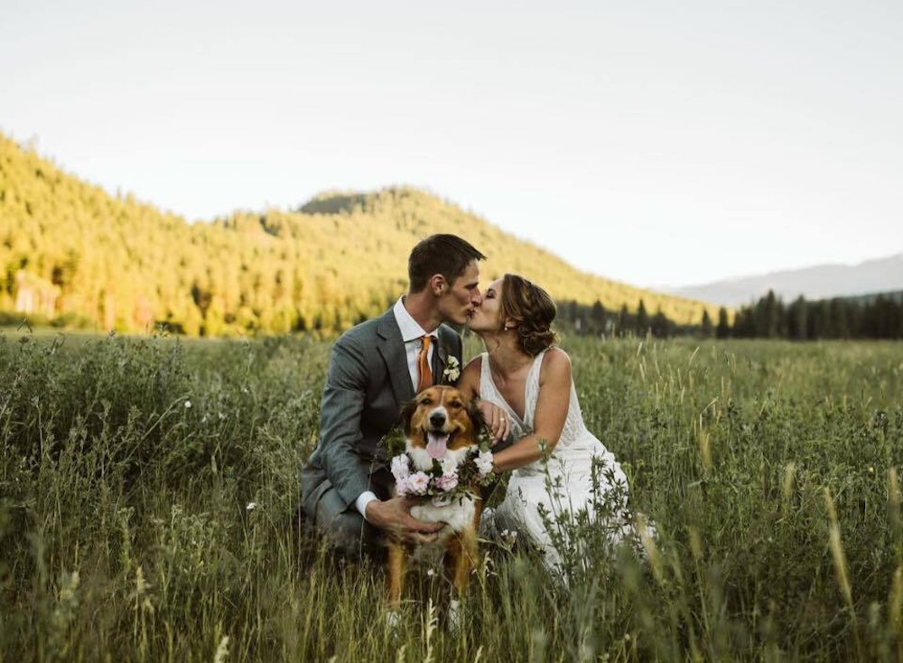 Mountain Springs Lodge