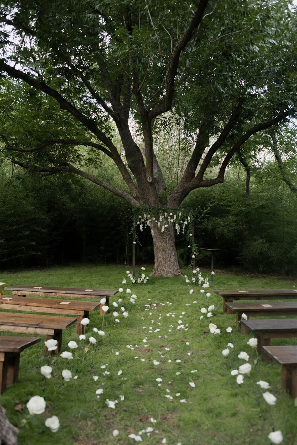 Blueberry Hill Events