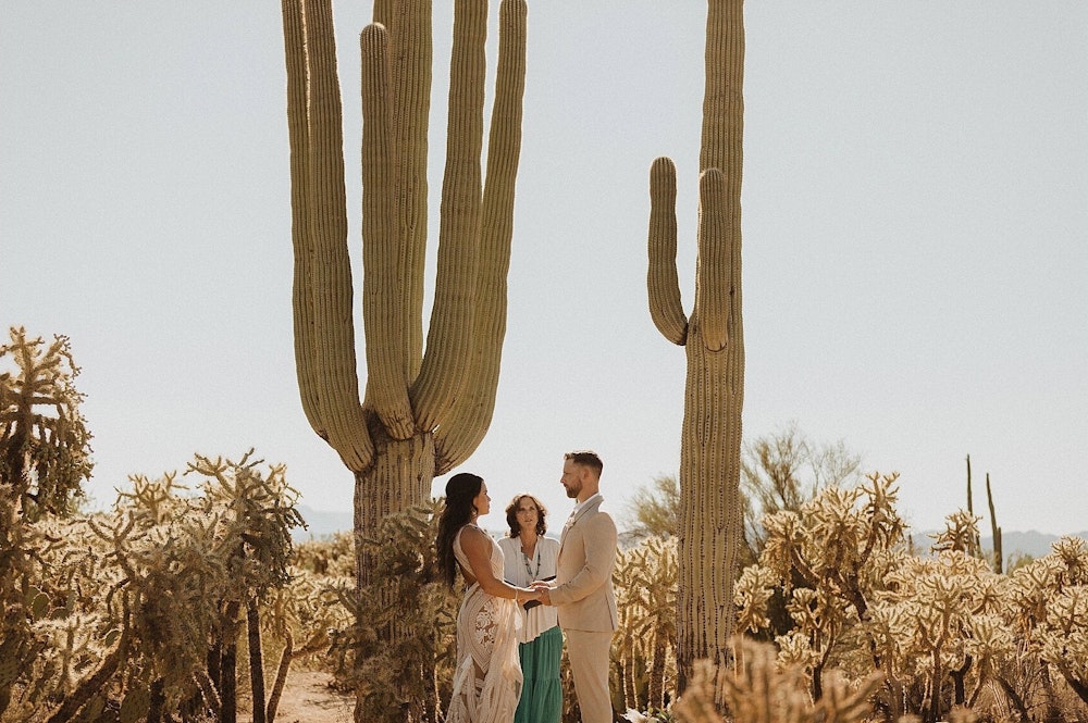 The Joshua Tree House