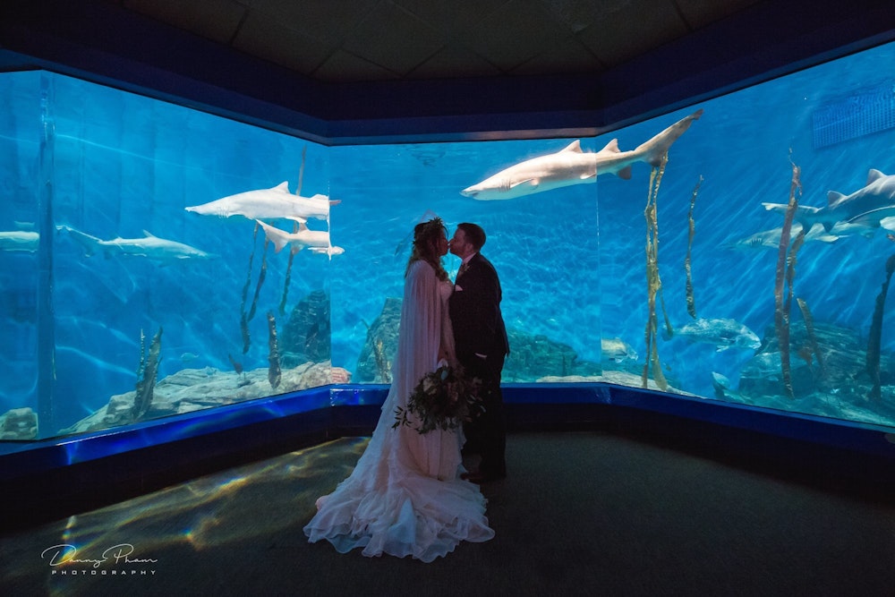 The Maritime Aquarium